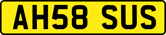AH58SUS