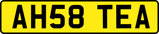 AH58TEA