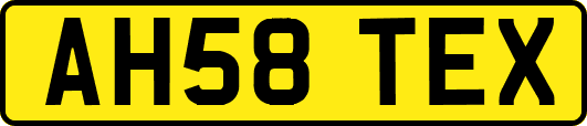 AH58TEX