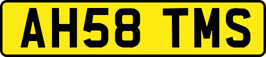 AH58TMS