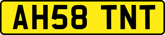 AH58TNT