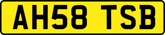 AH58TSB