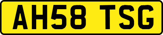 AH58TSG