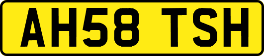AH58TSH