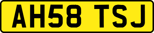 AH58TSJ