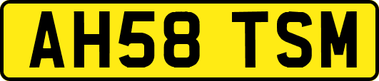 AH58TSM