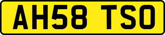 AH58TSO