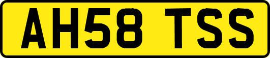 AH58TSS