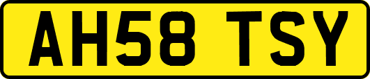 AH58TSY