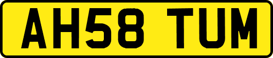 AH58TUM