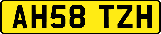 AH58TZH