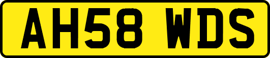 AH58WDS