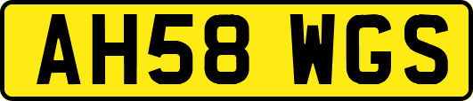 AH58WGS