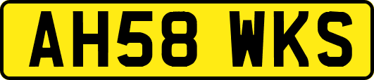 AH58WKS