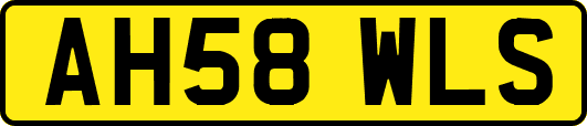 AH58WLS