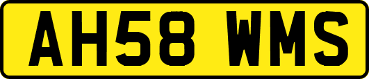 AH58WMS