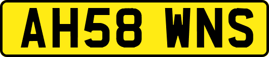 AH58WNS