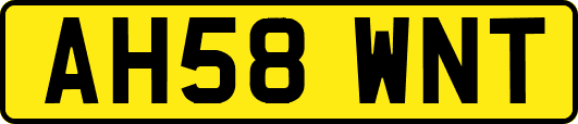 AH58WNT
