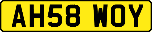 AH58WOY