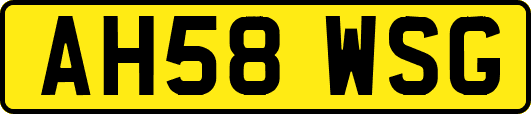 AH58WSG