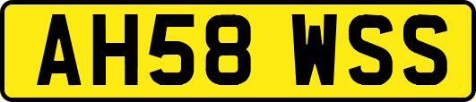 AH58WSS