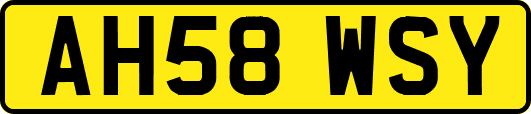AH58WSY
