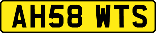 AH58WTS