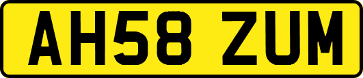 AH58ZUM