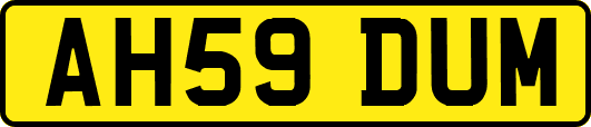 AH59DUM