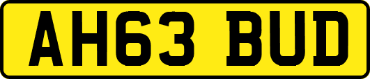 AH63BUD
