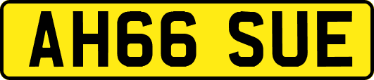 AH66SUE