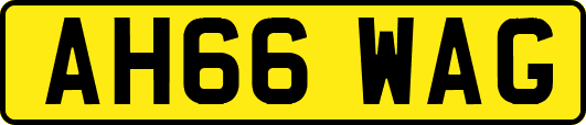AH66WAG