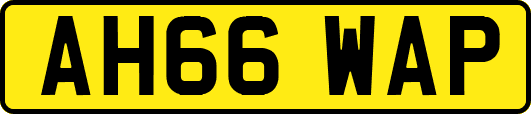 AH66WAP
