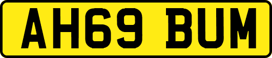 AH69BUM