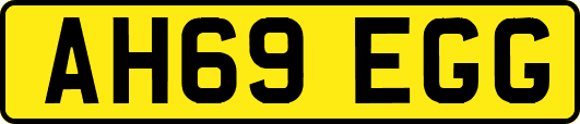 AH69EGG