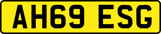 AH69ESG