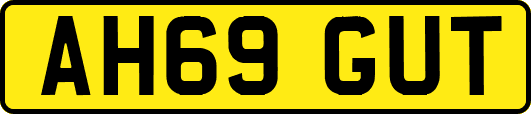 AH69GUT
