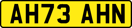 AH73AHN