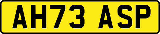 AH73ASP