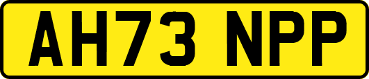 AH73NPP