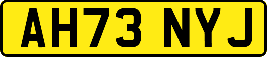 AH73NYJ