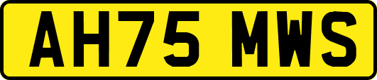 AH75MWS