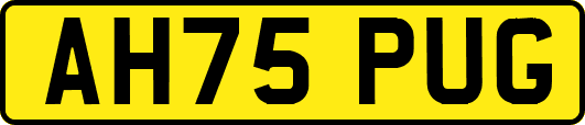 AH75PUG