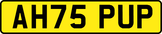 AH75PUP