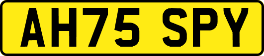 AH75SPY