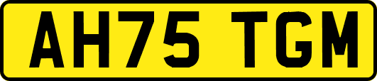 AH75TGM