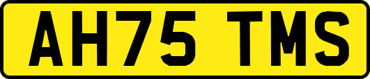 AH75TMS