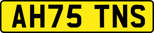 AH75TNS