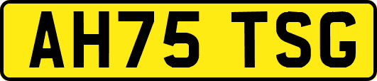 AH75TSG