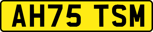 AH75TSM